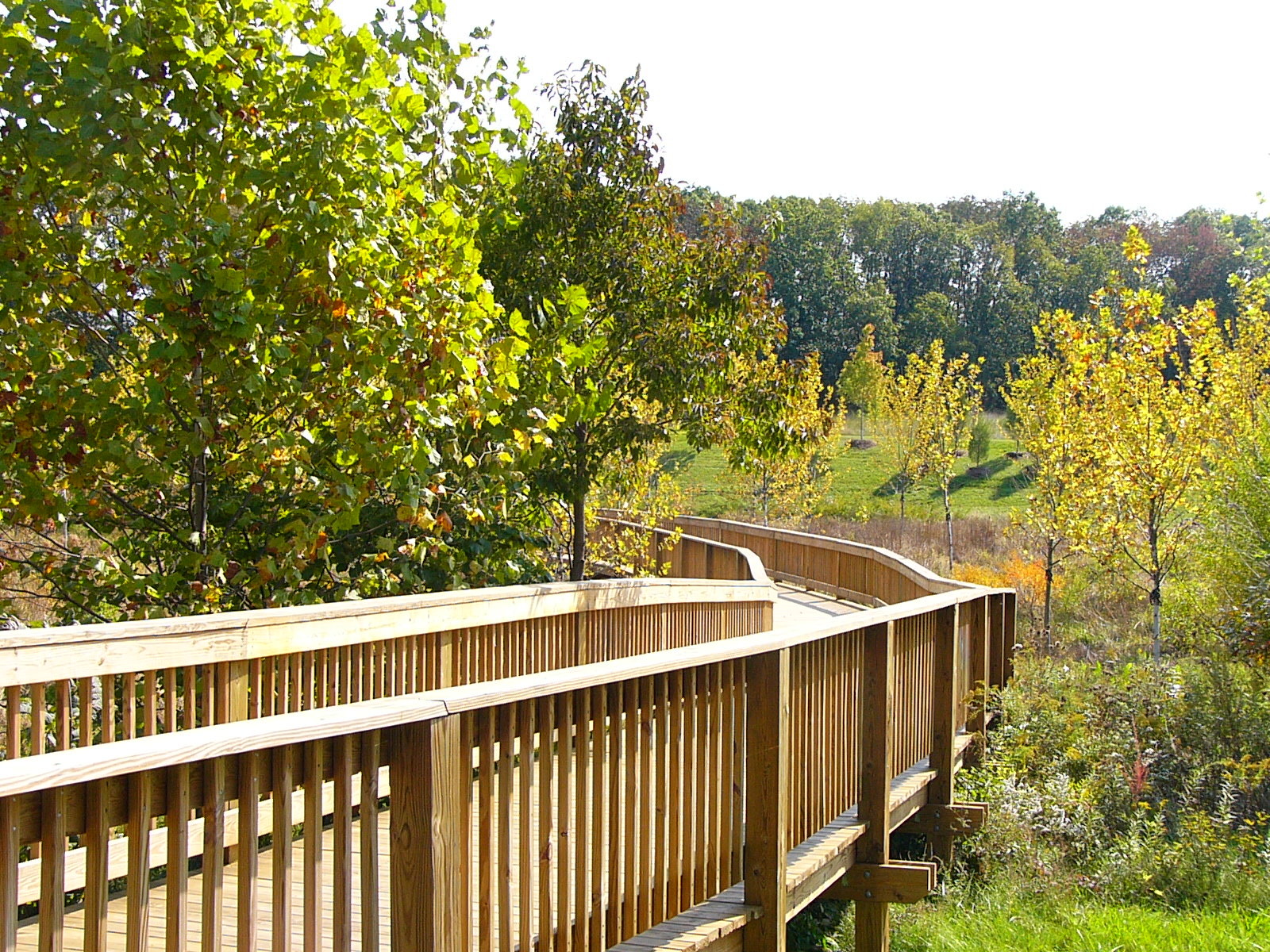 Boardwalk 3