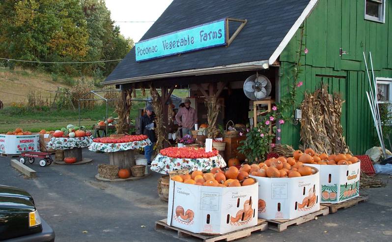 potomac vegetable farms