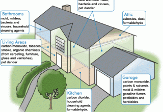 CleanHome