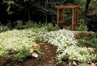 LivingGarden