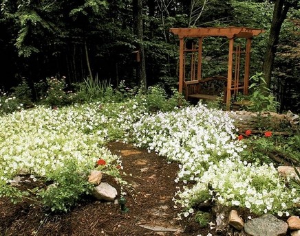 LivingGarden