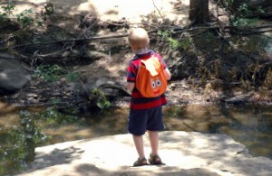 kids nature programs