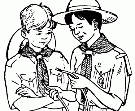 scouts