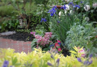 Natural Landscaping