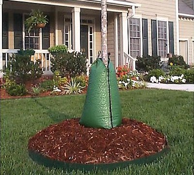 Tree Gator